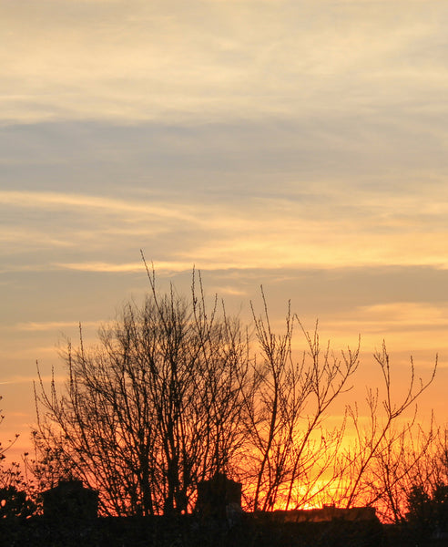 Oorbellen • Sunrise